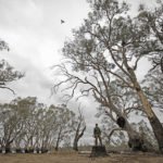 BEST TOURS AUSTRALIA DUCK HUNTING