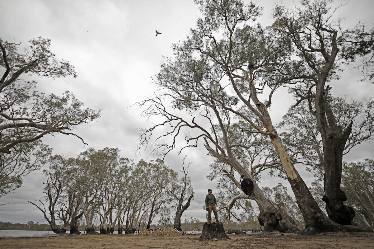 BEST TOURS AUSTRALIA DUCK HUNTING