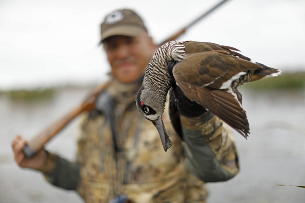 AUSTRALIA DUCK HUNTING