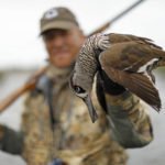 BEST AUSTRALIA DUCK HUNTING
