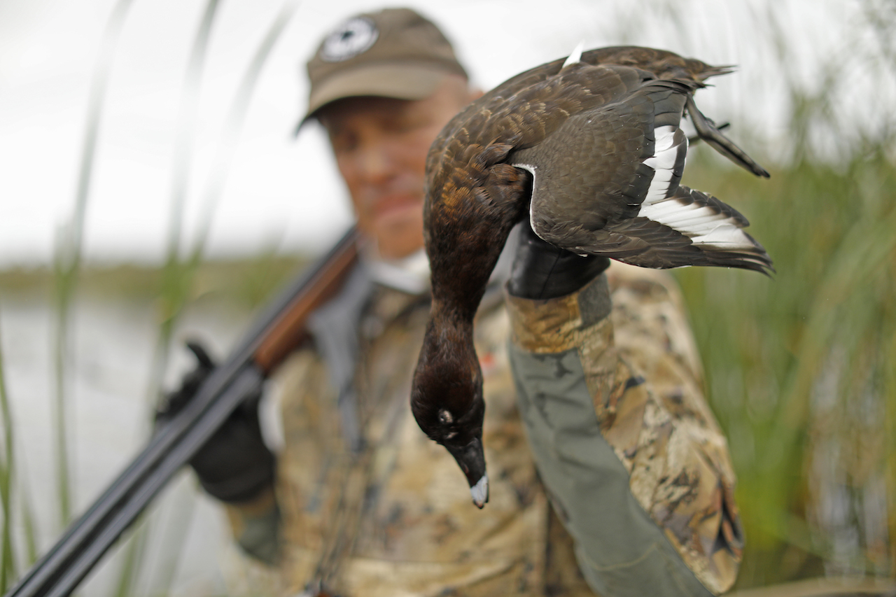 AUSTRALIA DUCK HUNTING Ramsey Russell's
