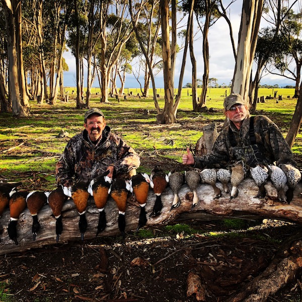 australia duck hunting