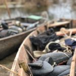 Getducks.com AZERBAIJAN DUCK HUNTING