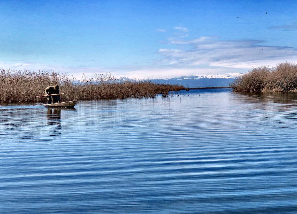 Getducks.com AZERBAIJAN DUCK HUNTING