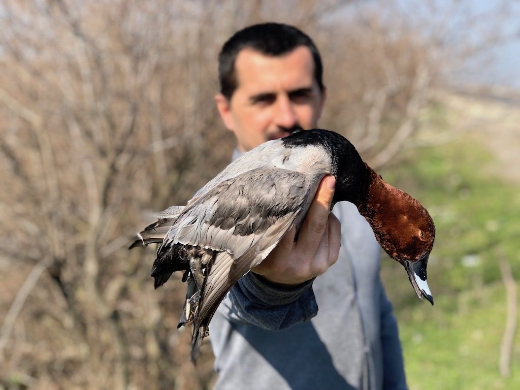 Getducks.com AZERBAIJAN DUCK HUNTING