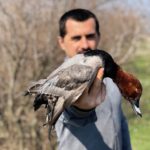 Getducks.com AZERBAIJAN DUCK HUNTING