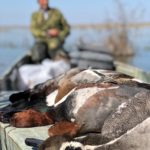 Getducks.com AZERBAIJAN DUCK HUNTING