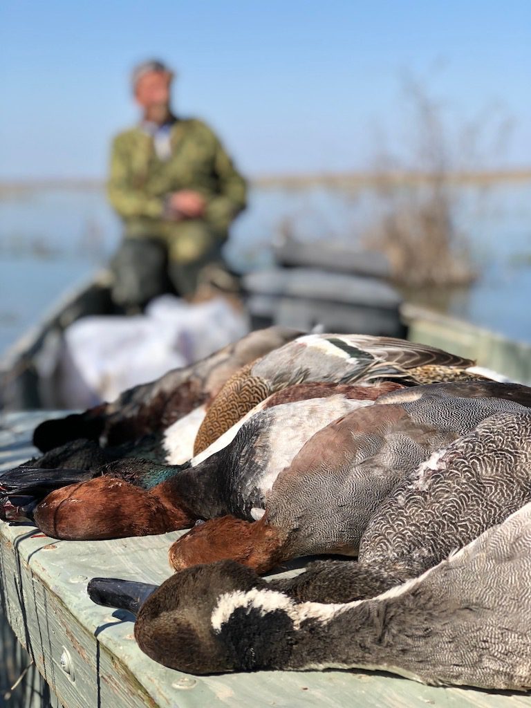 Getducks.com AZERBAIJAN DUCK HUNTING