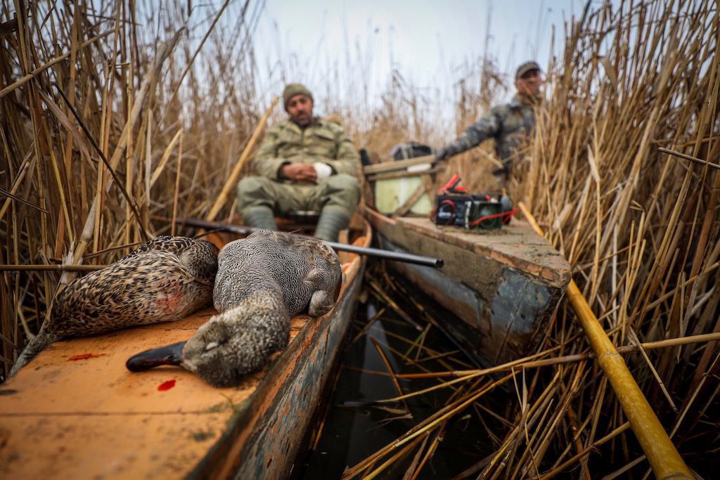 Getducks.com AZERBAIJAN DUCK HUNT