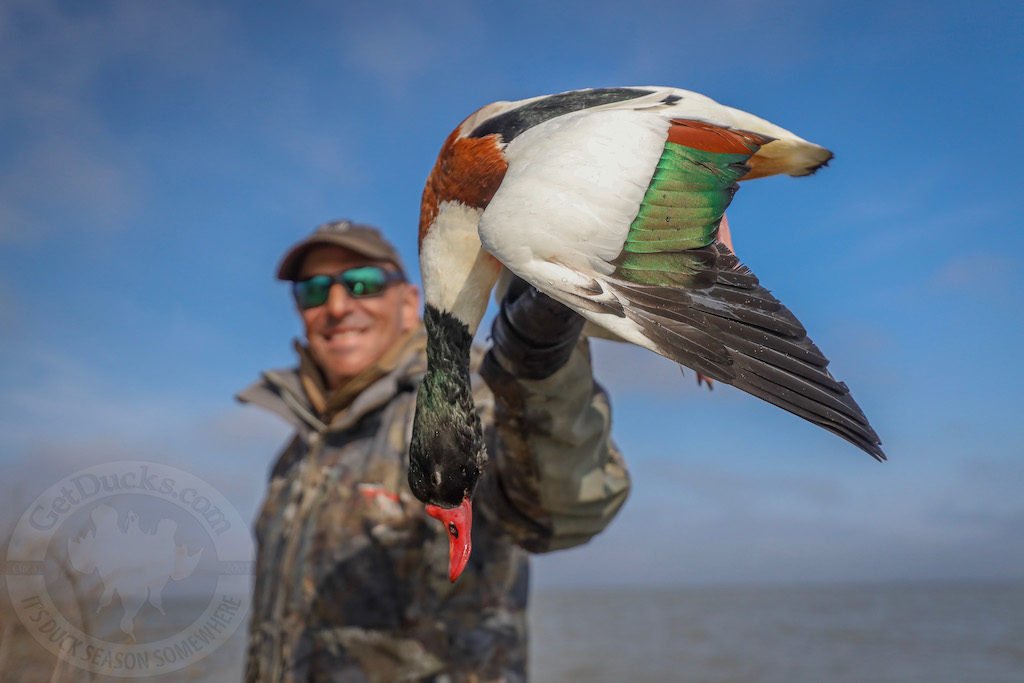 AZERBAIJAN DUCK HUNTING