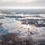 Getducks.com AZERBAIJAN DUCK HUNTING