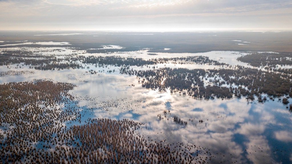 Getducks.com AZERBAIJAN DUCK HUNTING