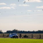Getducks.com RIO SALADO ARGENTINA DUCK HUNT