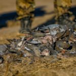 Getducks.com RIO SALADO ARGENTINA DUCK HUNT