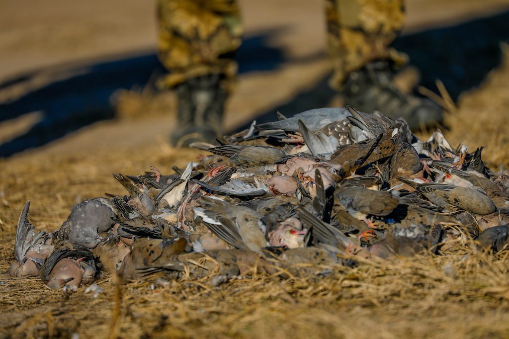 Getducks.com RIO SALADO ARGENTINA DUCK HUNT