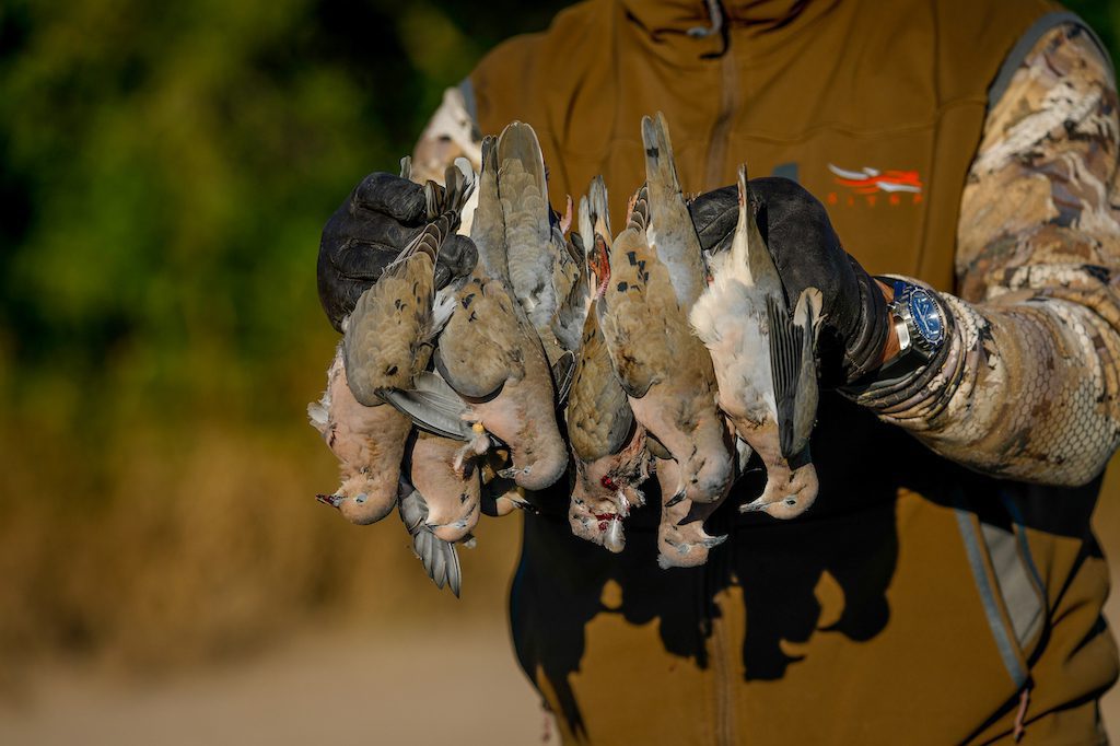 Getducks.com RIO SALADO ARGENTINA DUCK HUNT