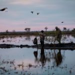 Getducks.com RIO SALADO ARGENTINA DUCK HUNT
