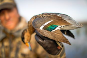 Getducks.com RIO SALADO ARGENTINA DUCK HUNT