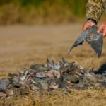 Getducks.com RIO SALADO ARGENTINA DUCK HUNT