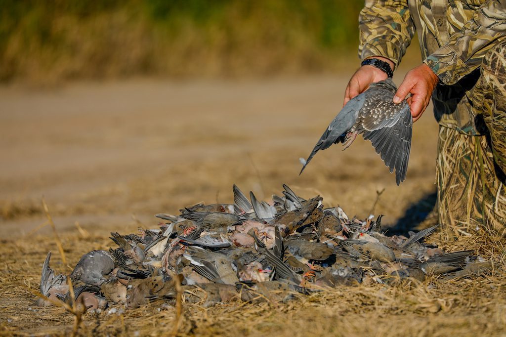 Getducks.com RIO SALADO ARGENTINA DUCK HUNT