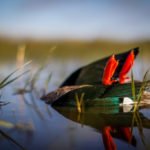 Getducks.com RIO SALADO ARGENTINA DUCK HUNT