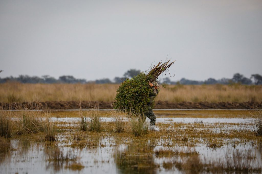 Getducks.com RIO SALADO ARGENTINA DUCK HUNT