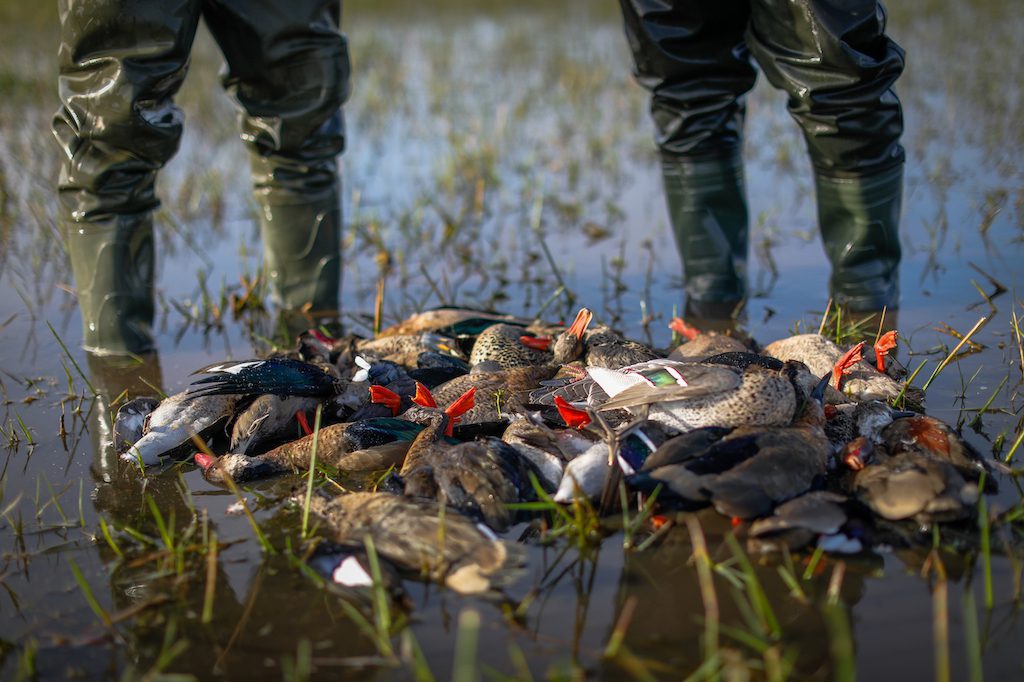 Getducks.com RIO SALADO ARGENTINA DUCK HUNT