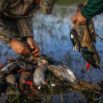 Getducks.com RIO SALADO ARGENTINA DUCK HUNT