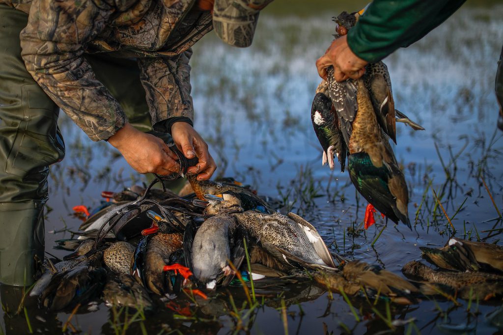 Getducks.com RIO SALADO ARGENTINA DUCK HUNT