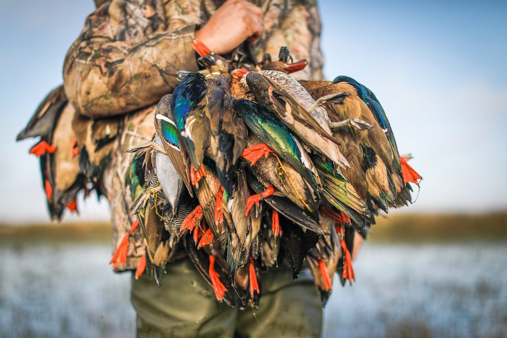 Getducks.com RIO SALADO ARGENTINA DUCK HUNT