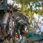 Getducks.com RIO SALADO ARGENTINA DUCK HUNT