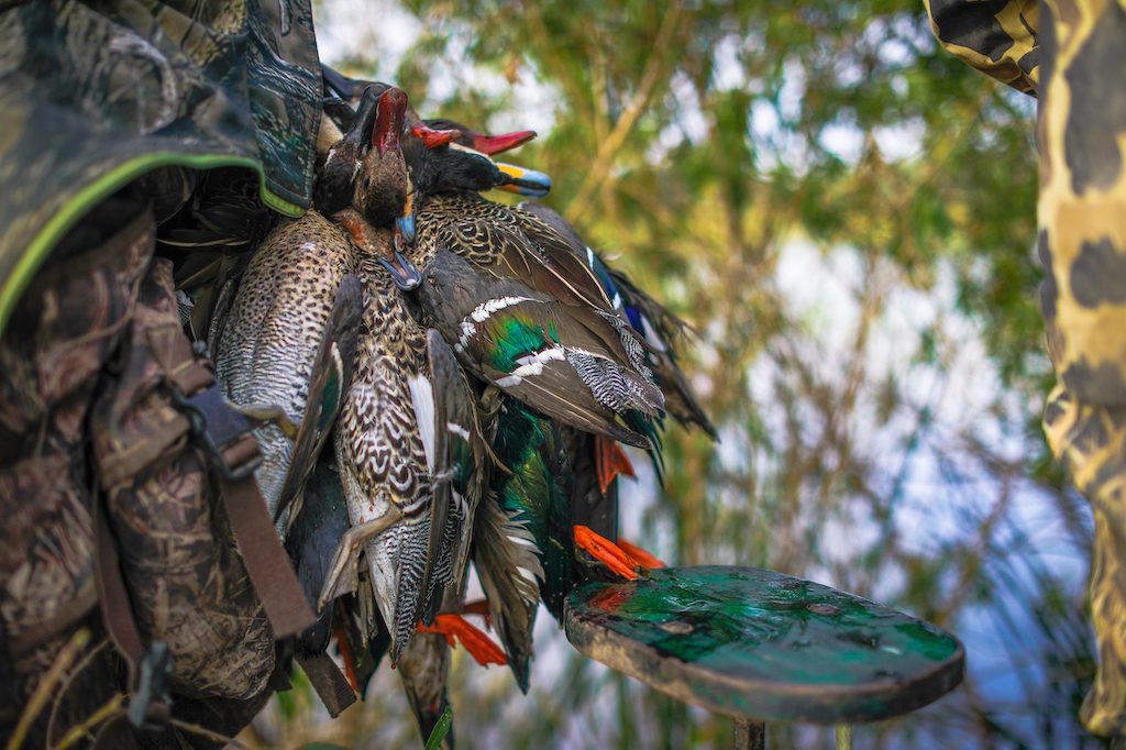 Getducks.com RIO SALADO ARGENTINA DUCK HUNT