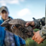 Getducks.com RIO SALADO ARGENTINA DUCK HUNT