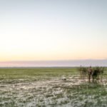 Getducks.com RIO SALADO ARGENTINA DUCK HUNT