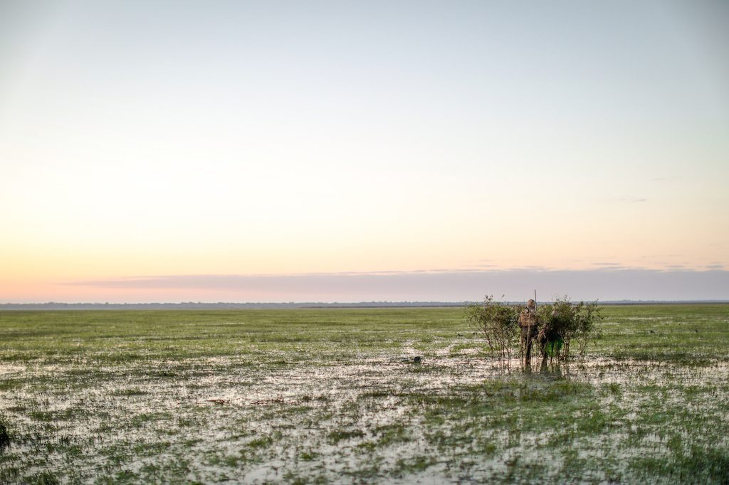 Getducks.com RIO SALADO ARGENTINA DUCK HUNT