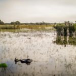 Getducks.com RIO SALADO ARGENTINA DUCK HUNT