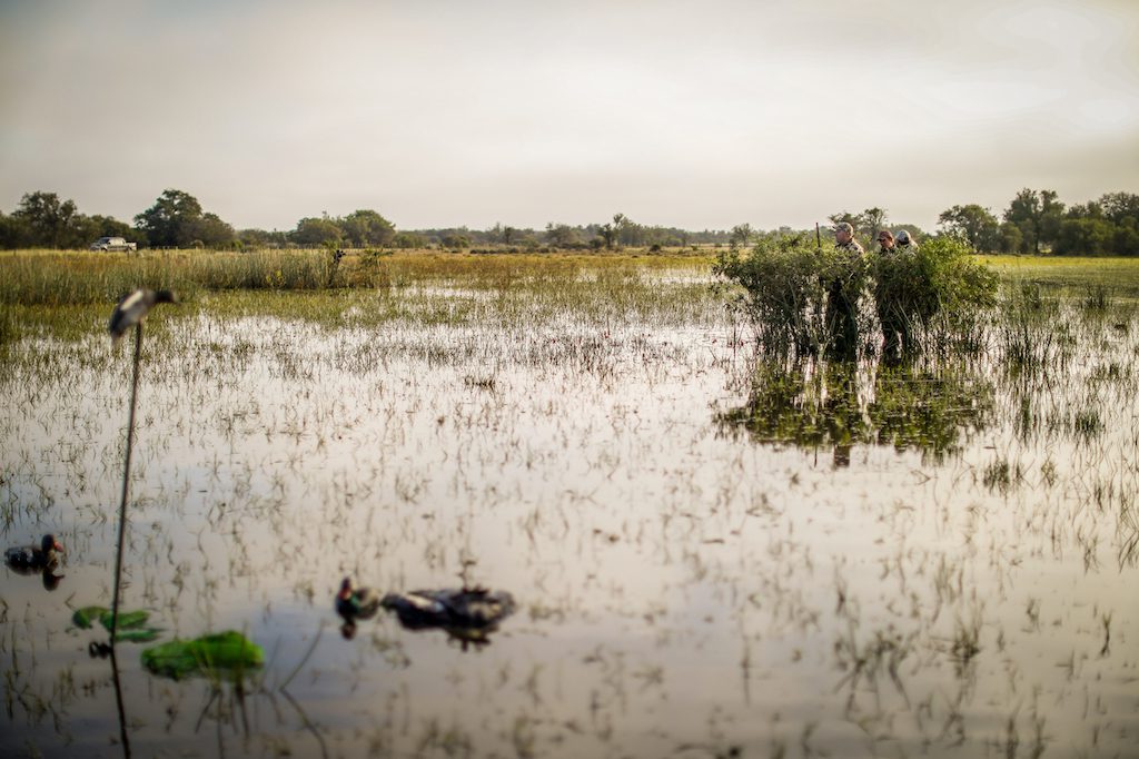 Getducks.com RIO SALADO ARGENTINA DUCK HUNT