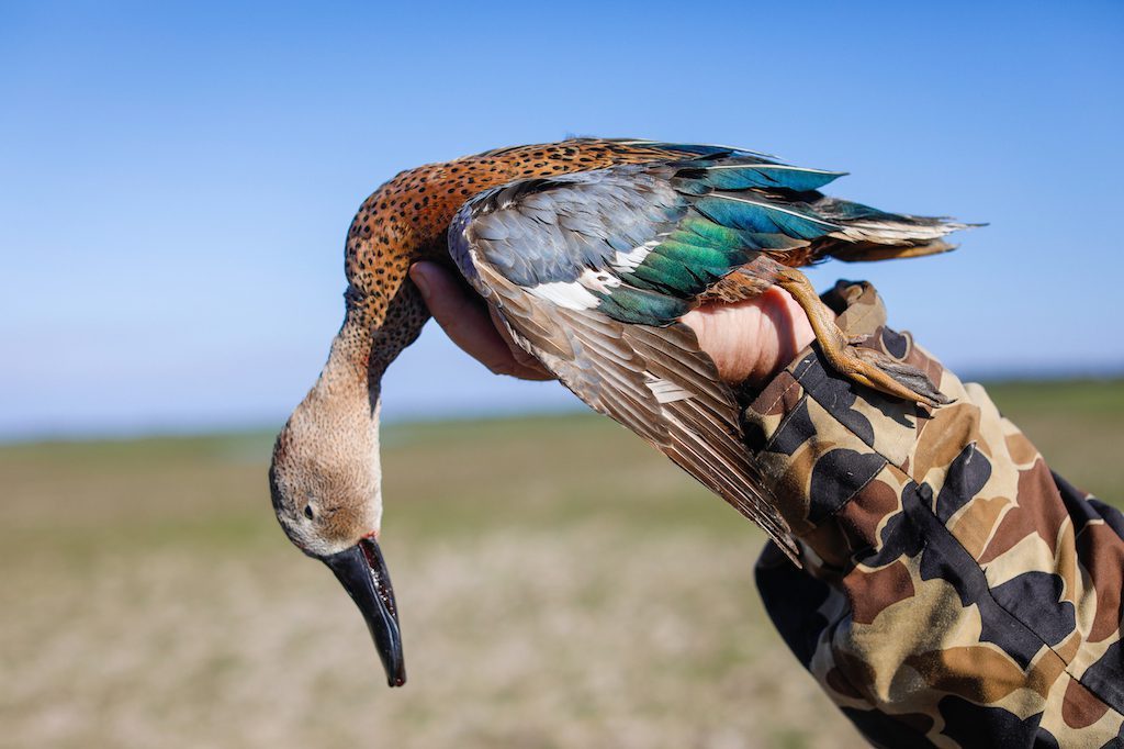 Getducks.com RIO SALADO ARGENTINA DUCK HUNT