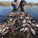 Getducks.com RIO SALADO ARGENTINA DUCK HUNT