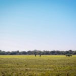 Getducks.com RIO SALADO ARGENTINA DUCK HUNT