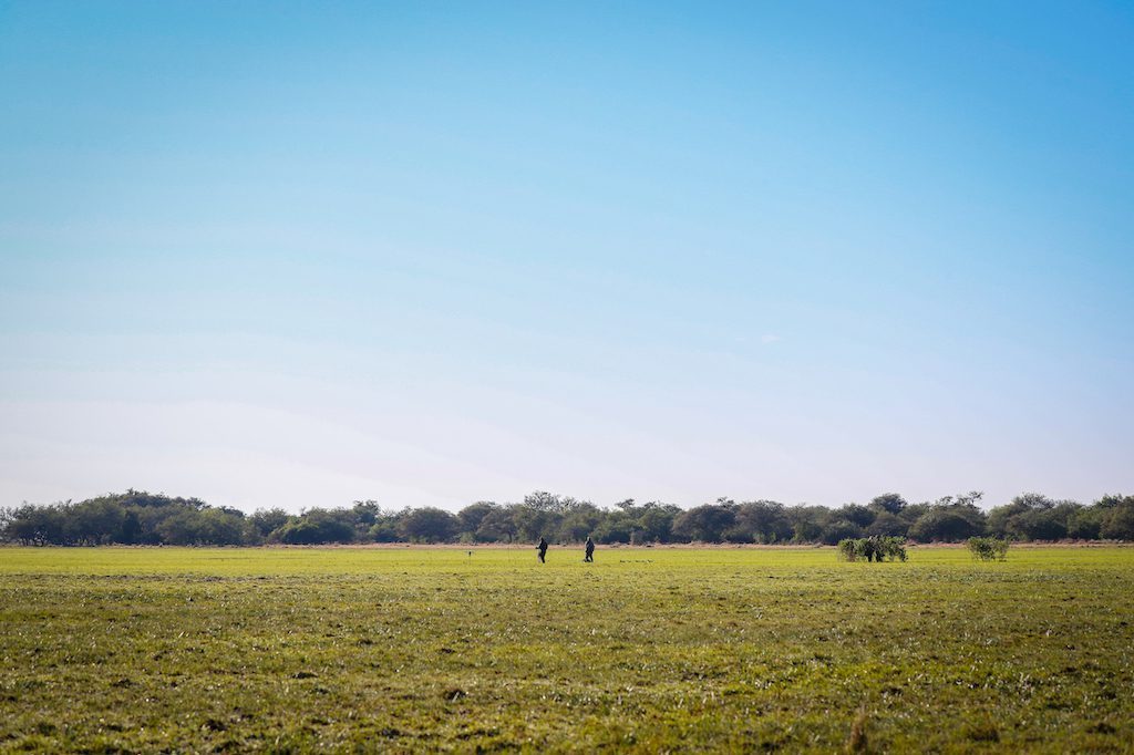 Getducks.com RIO SALADO ARGENTINA DUCK HUNT