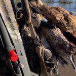 Getducks.com RIO SALADO ARGENTINA DUCK HUNT