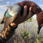 Getducks.com RIO SALADO ARGENTINA DUCK HUNT