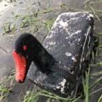 Getducks.com RIO SALADO DUCK HUNTING ARGENTINA