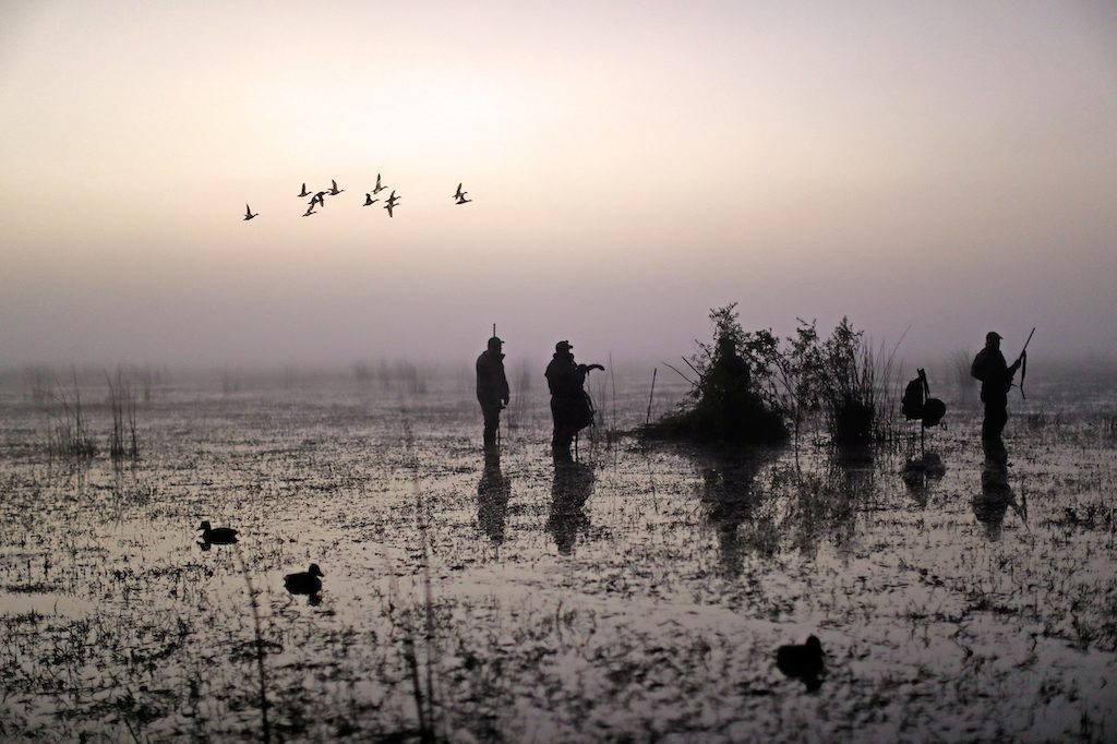 Getducks.com RIO SALADO DUCK HUNTING ARGENTINA