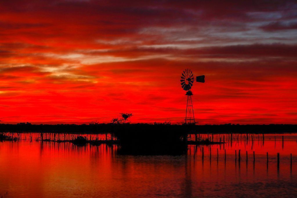 Getducks.com RIO SALADO ARGENTINA DUCK HUNT