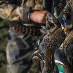 Ramsey Russell Best Duck Hunts Argentina