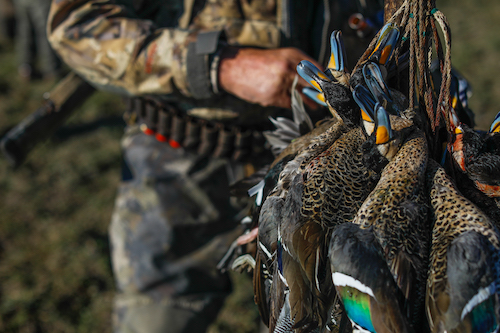 rio salado argentina duck hunt