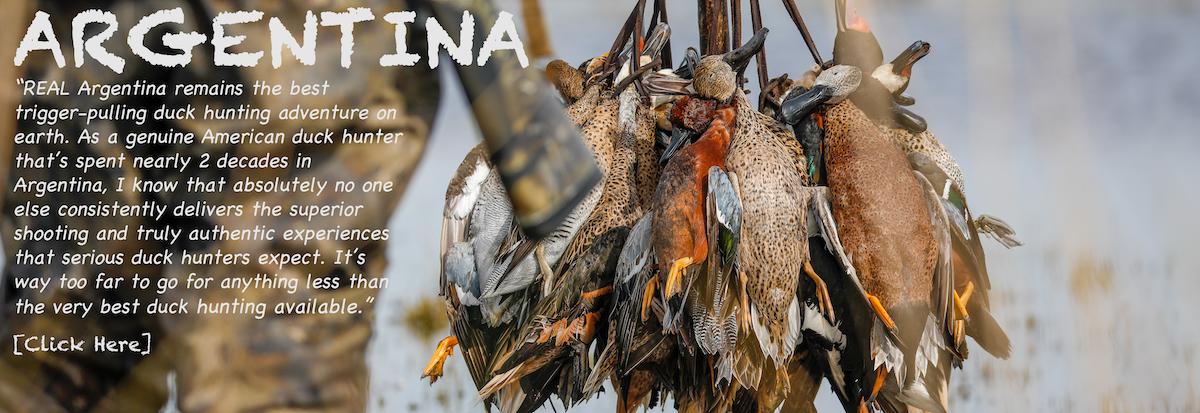 Getducks.com ARGENTINA DUCK HUNTS