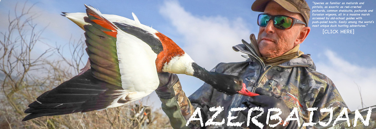 Getducks.com AZERBAIJAN DUCK HUNTS